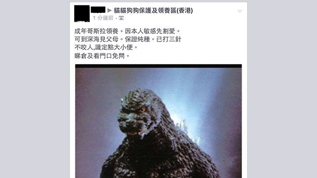圖片來源：貓貓狗狗保護及領養區(香港)