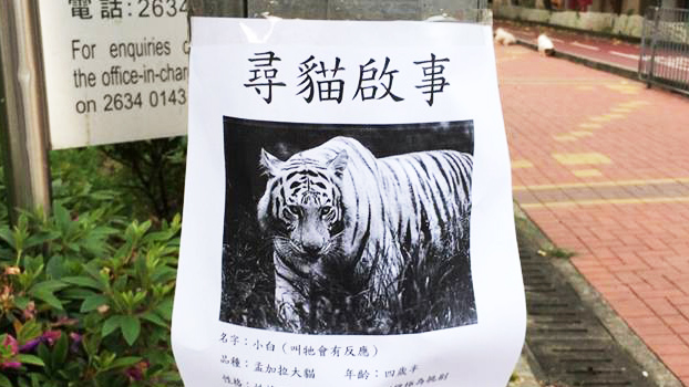 圖片來源：Kaman Tso