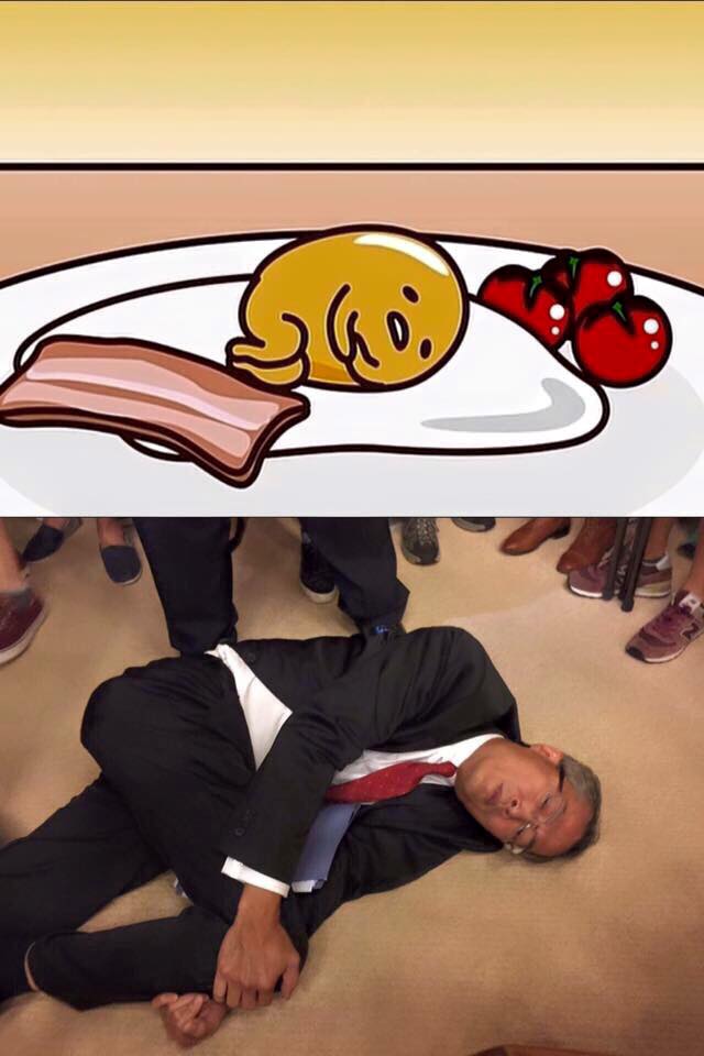圖片來源：Greg Ng