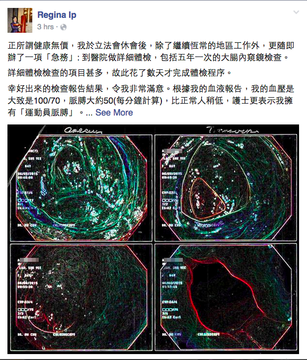 圖片來源: Regina Ip facebook