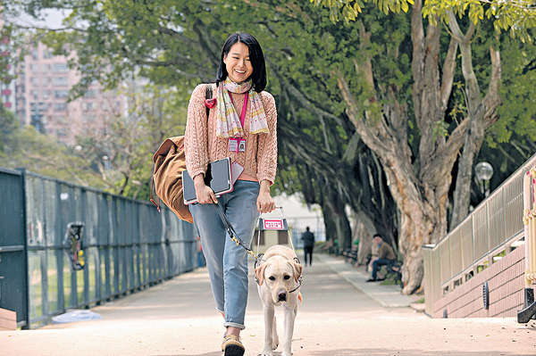 圖片來源：TVB 《陪著你走》截圖