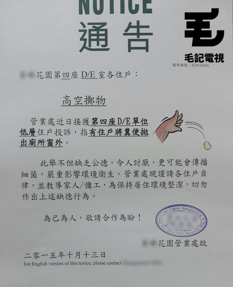 圖片來源：毛毛