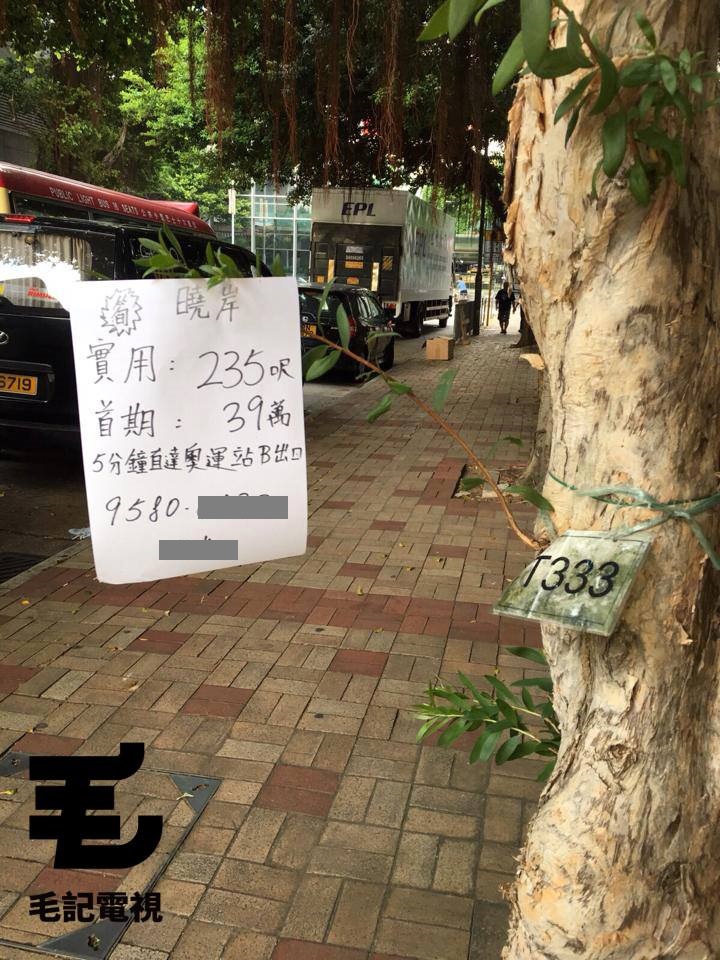 圖片來源：出去睇豪宅（好似係）嘅腦細