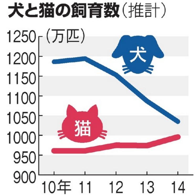 圖片來源：《朝日新聞》