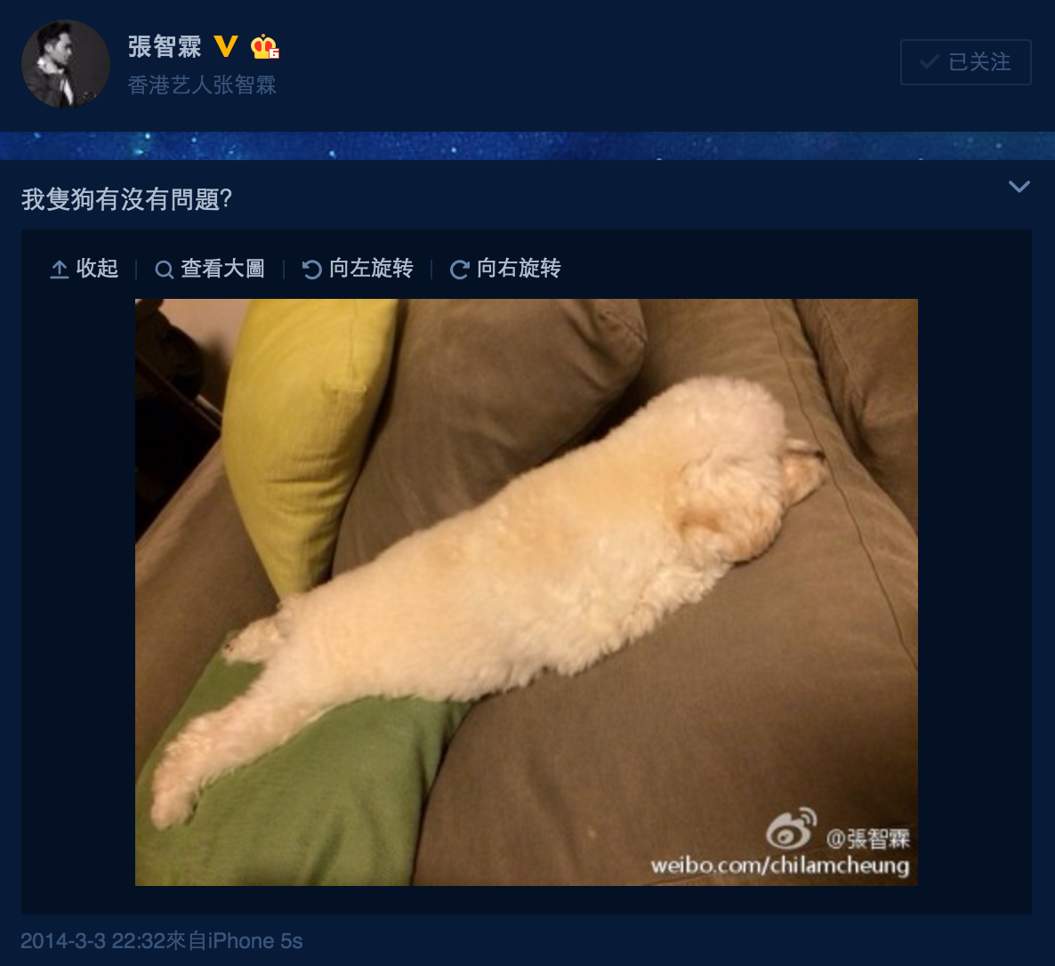 圖片來源：張智霖微博 