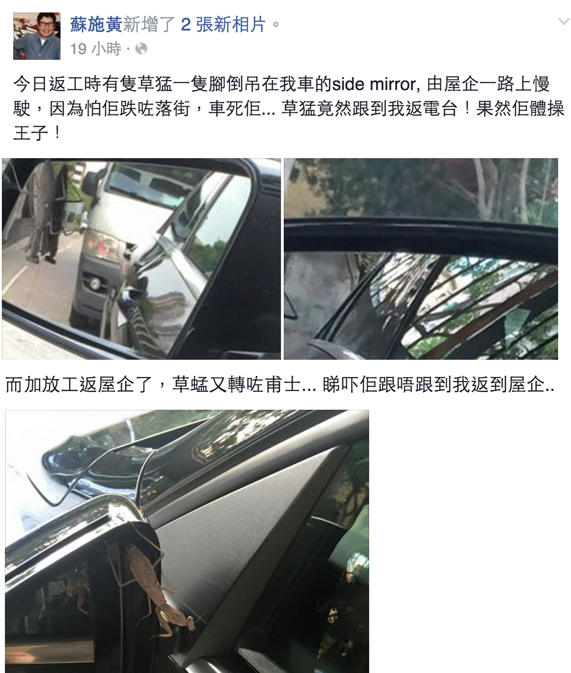 圖片來源：蘇施黃 