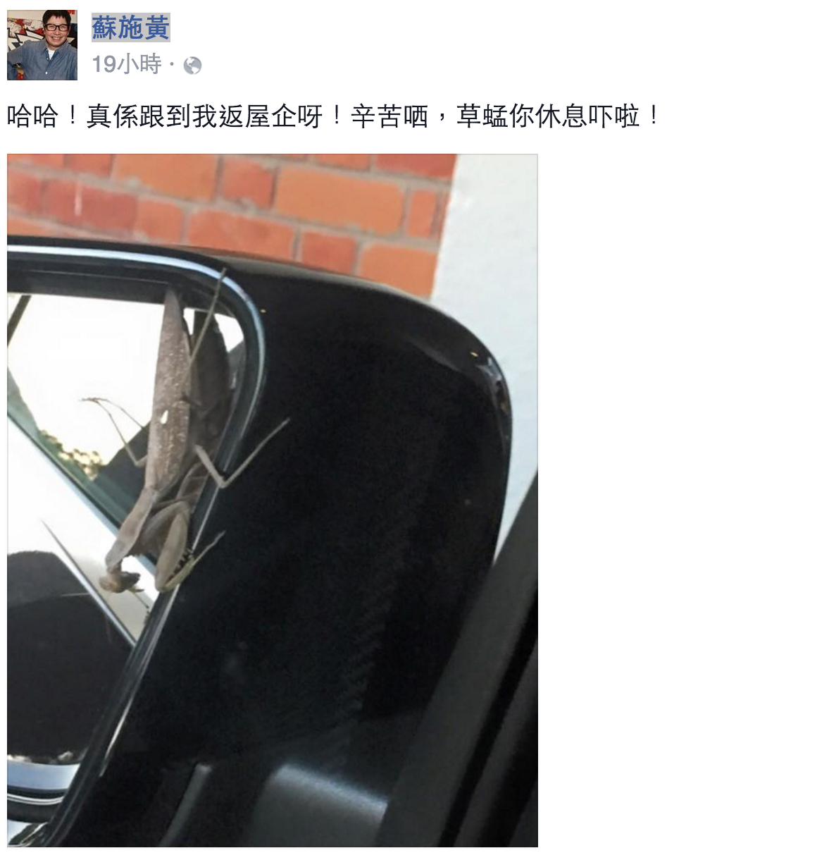 圖片來源：蘇施黃 