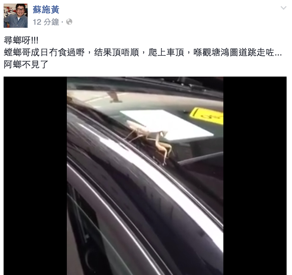 圖片來源：蘇施黃 