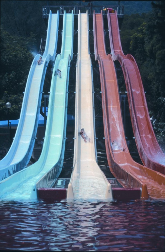 圖片來源：海洋公園