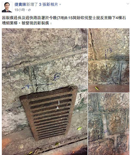 圖片來源:陳捷貴