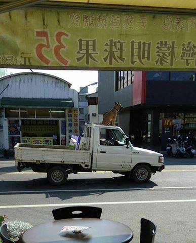 圖片來源：爆料公社