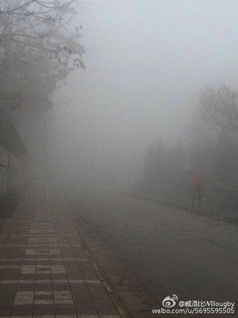 圖片來源:威洛比微博