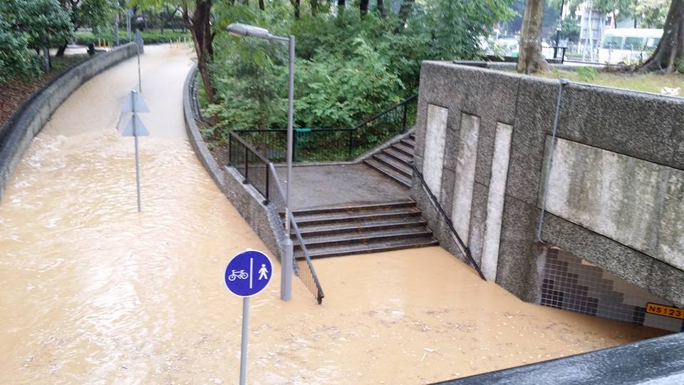 圖片來源:Tang Chi Ho/Tai Po 大埔