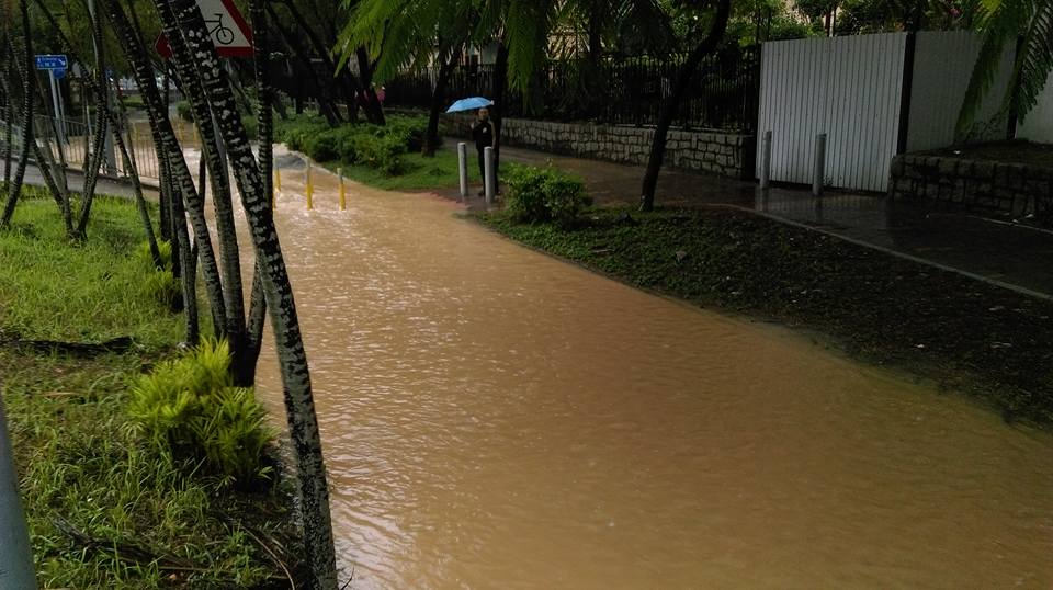 圖片來源:鄭嘉榮/Tai Po 大埔