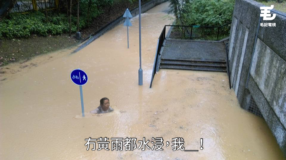 原圖:tvb《守業者》截圖、鄭嘉榮/Tai Po 大埔