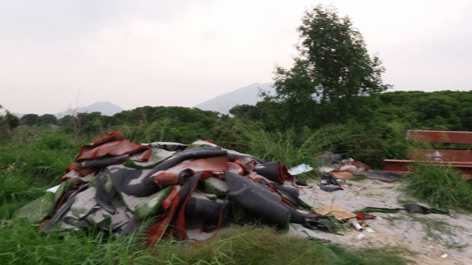 圖片來源：潘文