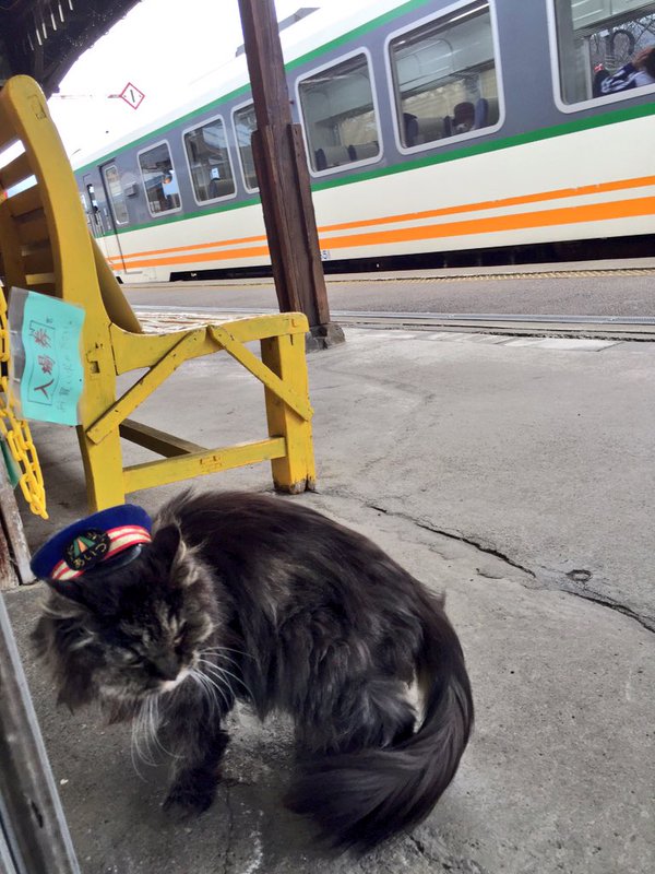 圖片來源:Ashinomakionsen/twitter