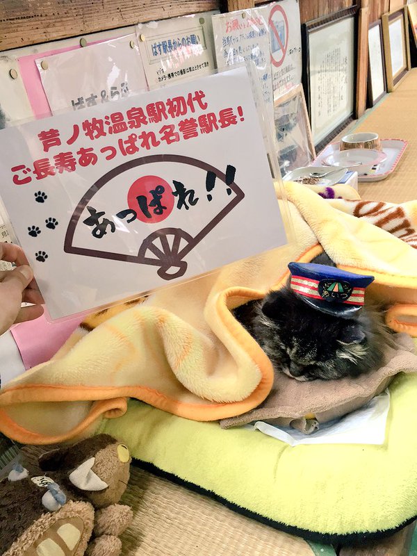 圖片來源:Ashinomakionsen/twitter