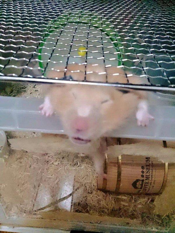圖片來源:s_hi_o
