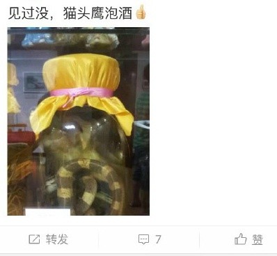 圖片來源:博物雜誌/微博
