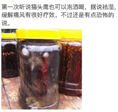 圖片來源:博物雜誌/微博