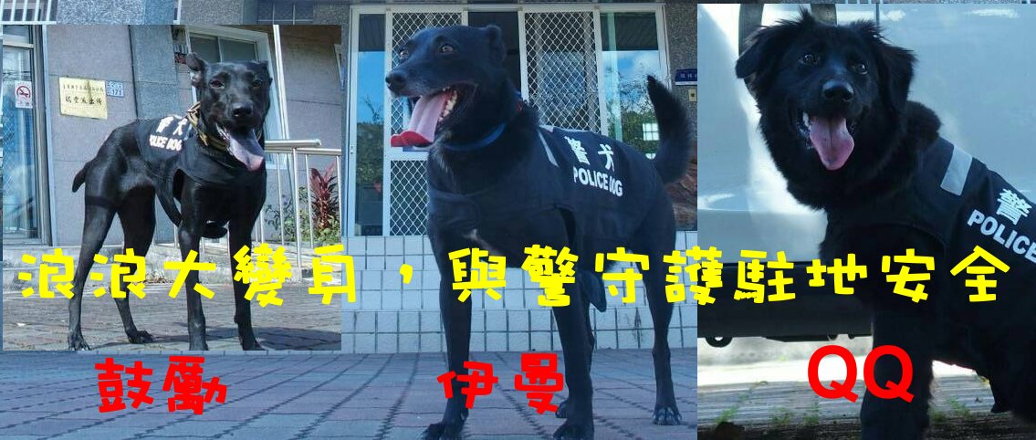 圖片來源：臺東縣警察局關山分局