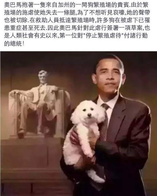 圖片來源：Feifei Tung