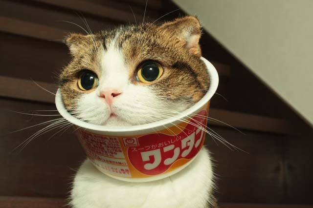 圖片來源:entermeus