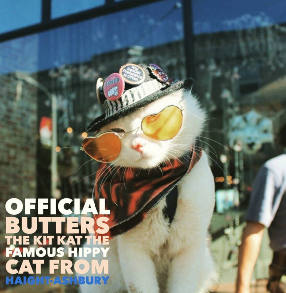 圖片來源：officialbuttersthekitkat
