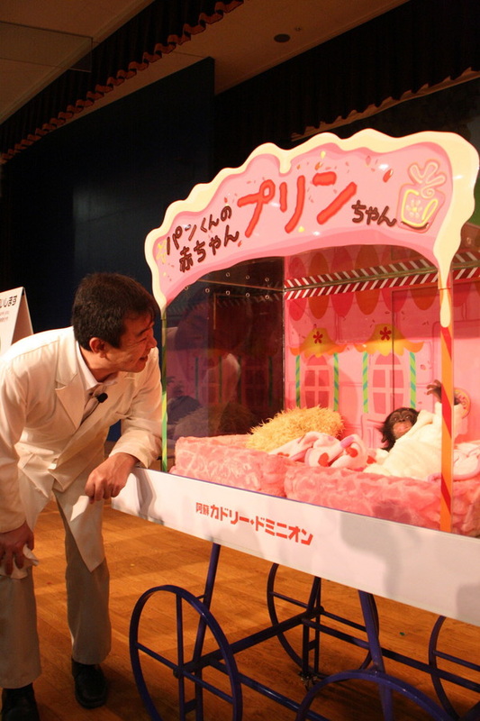 圖片來源:阿蘇カドリー・ドミニオン