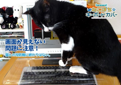 圖片來源: Be-S Co