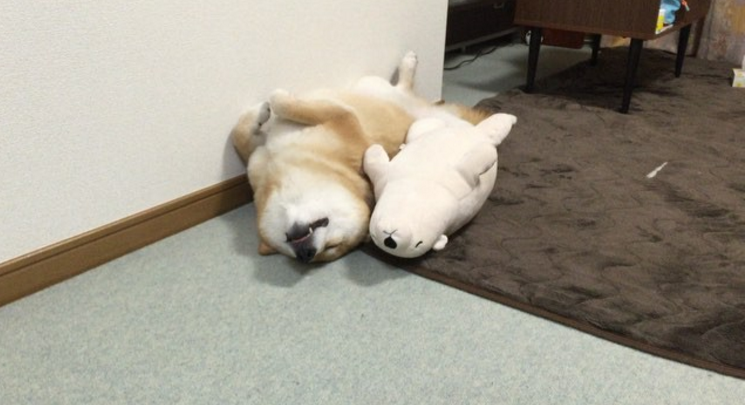 圖片來源:marutaro/instagram