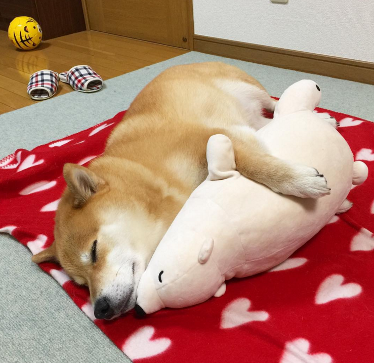 圖片來源:marutaro/instagram