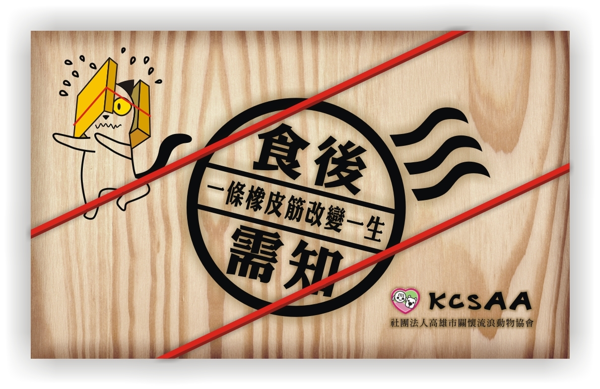 圖片來源:高雄市關懷流浪動物協會
