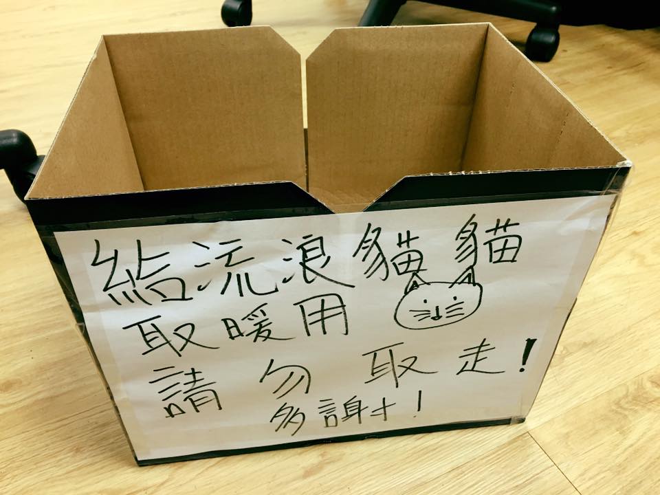 圖片來源:Clam Yeung/天下貓貓一樣貓