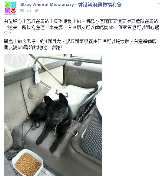 圖片來源:香港流浪動物福利會