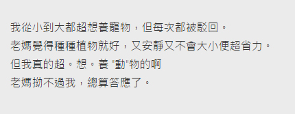圖片來源:dcard