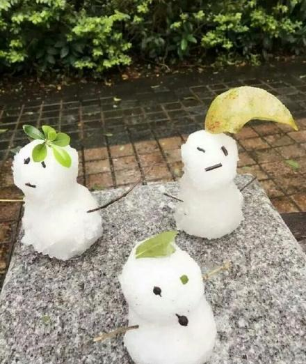 圖片來源:微博
