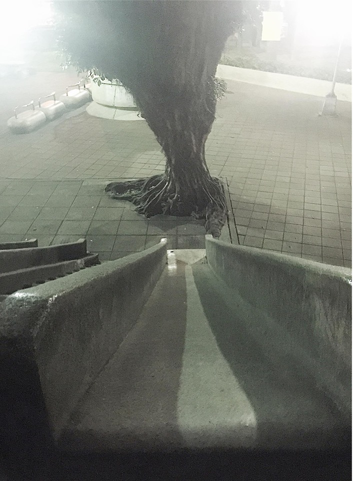 圖片來源:羊羊