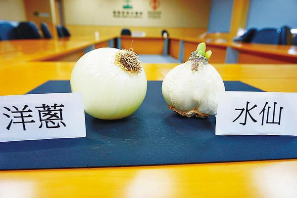 圖片來源:星島日報