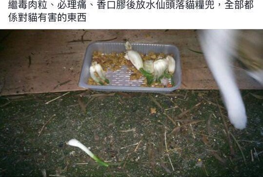 圖片來源:CUHK Secret