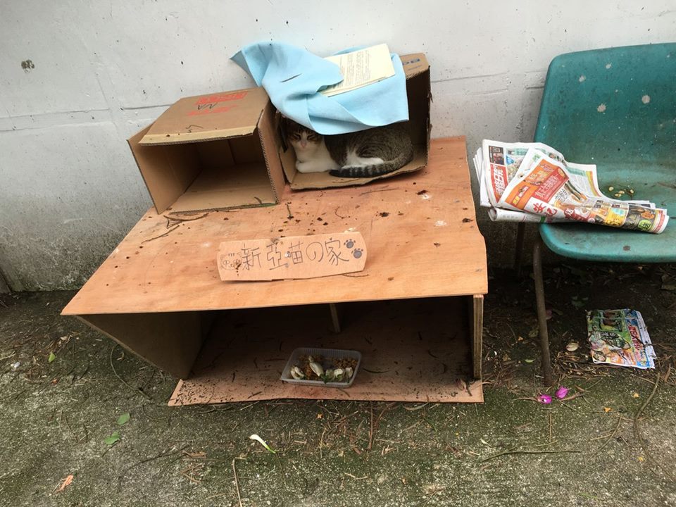 圖片來源:CUHK Secret