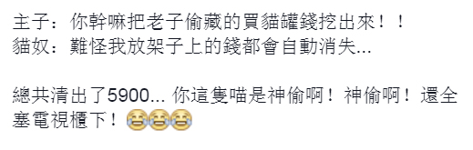 圖片來源: 廖信雅/貓咪也瘋狂俱樂部