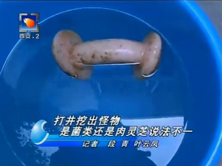 圖片來源:591hx.com