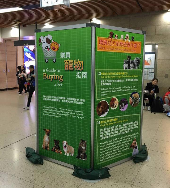 圖片來源:動物解放/Facebook