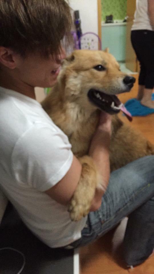 圖片來源:香港動物報