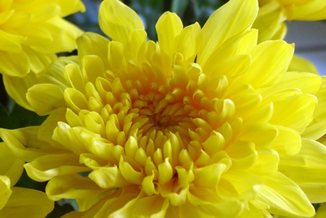 圖片來源:yjdw666.blog.sohu