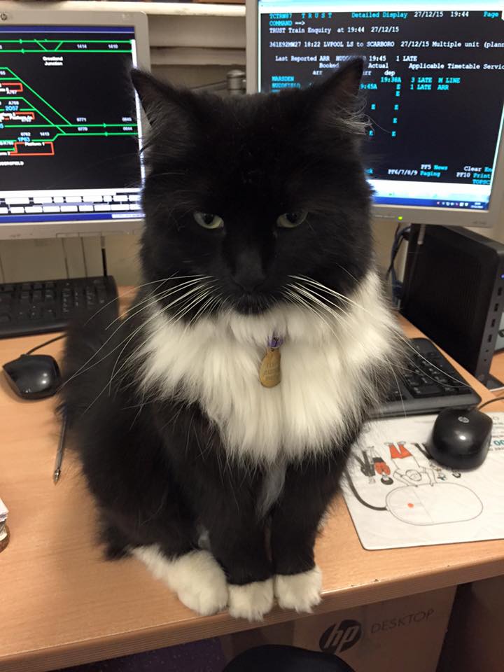 圖片來源:Felix the Huddersfield Station Cat/Facebook