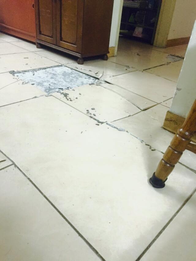 圖片來源:陳櫻丹●【爆料公社】●