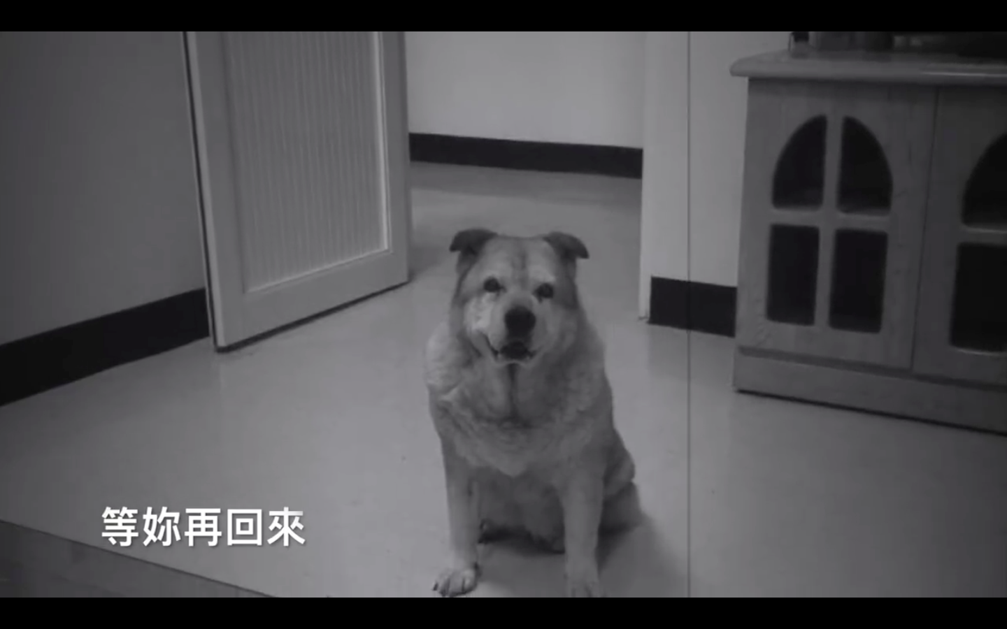 圖片來源：嘉義市政府消防局第一分隊-太陽分隊